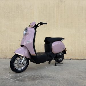 Xe Đạp Điện Dibao Rosa Thế Hệ Mới