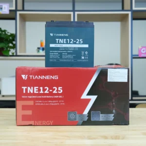ẮC QUY TIANNENG (THIÊN NĂNG) TNE 60V-20AH